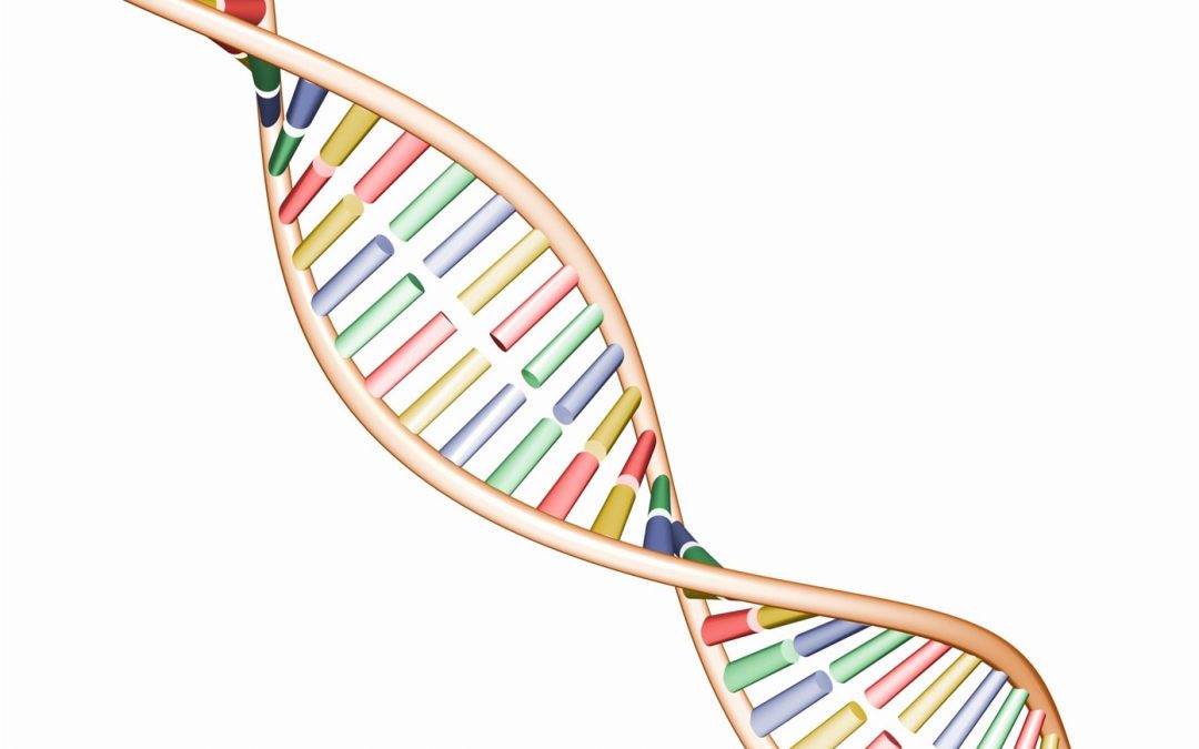 Expo 2015 Alimentazione e Dna secondo INAIL – Conseguenze per i Nostri Figli
