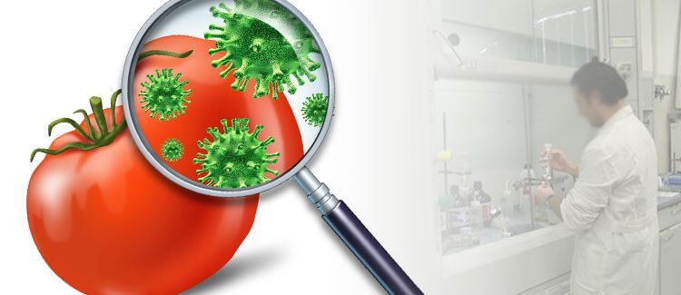 Analisi microbiologiche alimenti, superfici ed acque potabili